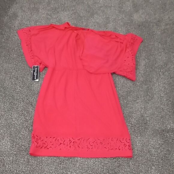 Jessica Howard Midi Length Lace Cutout Blouson Dolman Sleeve Dress Size 10P NWT - Picture 3 of 3